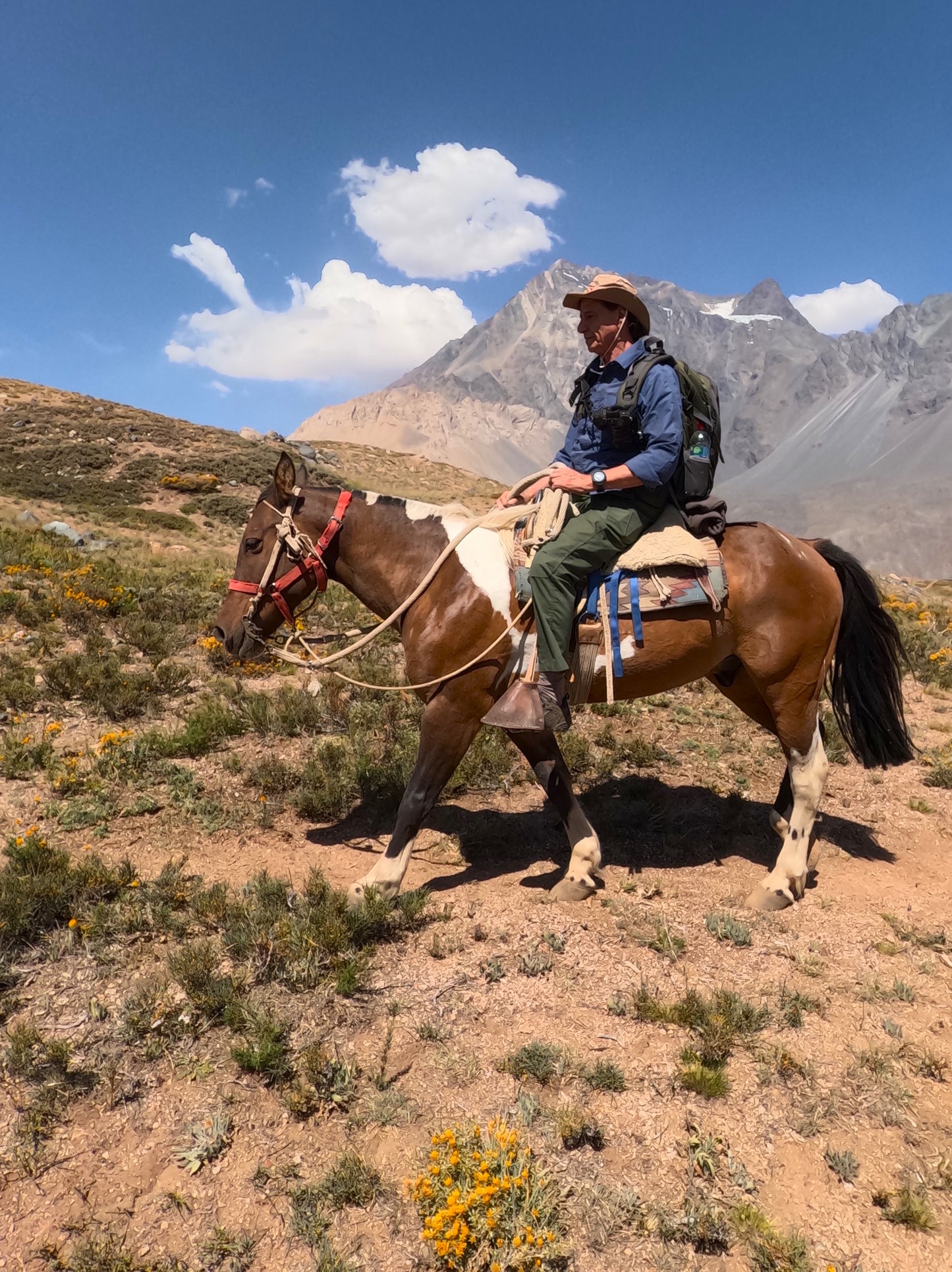 Cabalgata Full Day 3 Lagunas, Laguna Negra, Laguna del Encañado y Laguna del Indio
