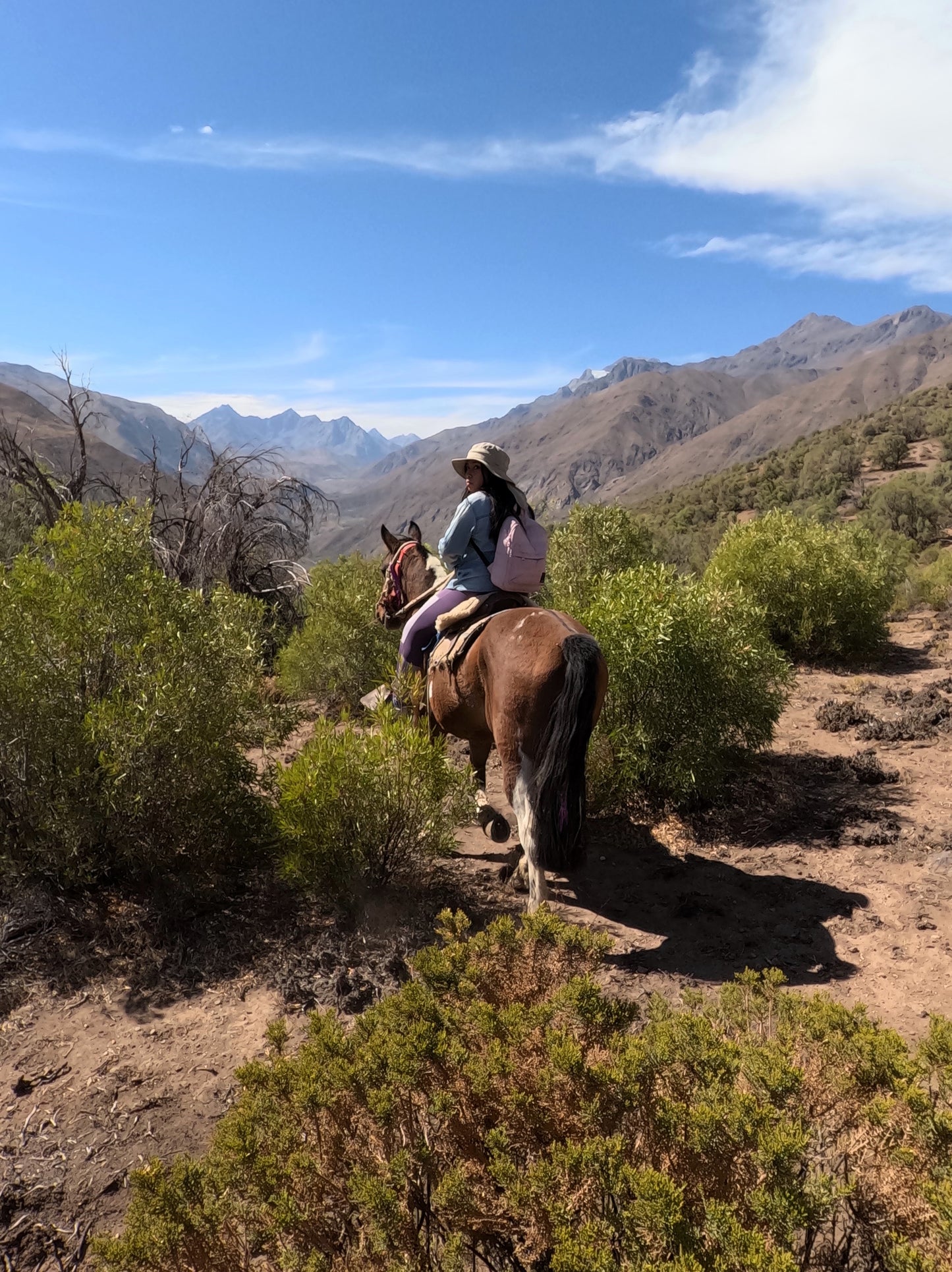 Cabalgata Mirador Cordillera 3 horas