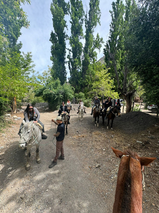 Cabalgatas Ecológicas: Un Turismo Sostenible en el Cajón del Maipo