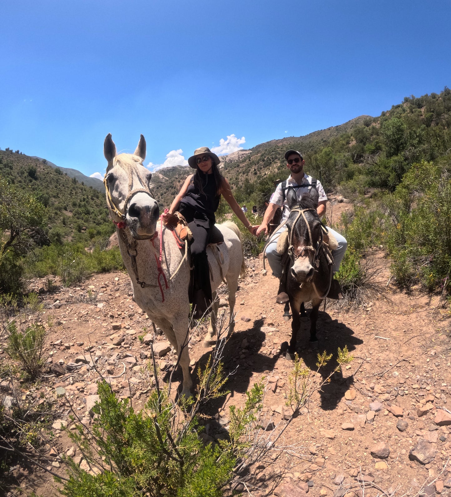 Cabalgata Mirador Cordillera 3 horas