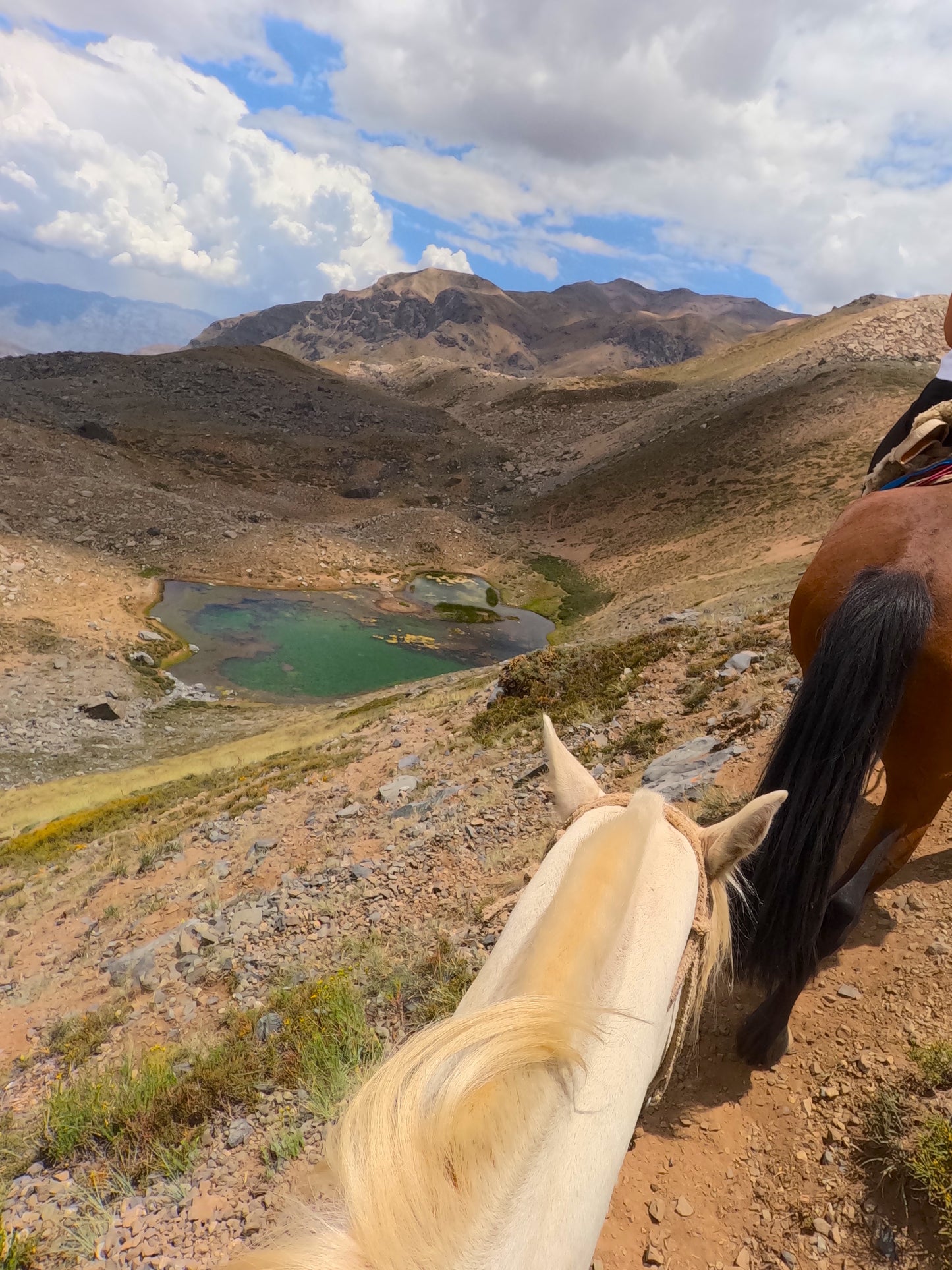 Cabalgata Full Day 3 Lagunas, Laguna Negra, Laguna del Encañado y Laguna del Indio