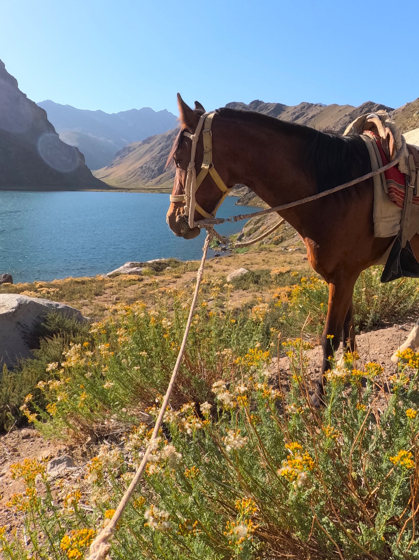 Cabalgata Full Day 3 Lagunas, Laguna Negra, Laguna del Encañado y Laguna del Indio