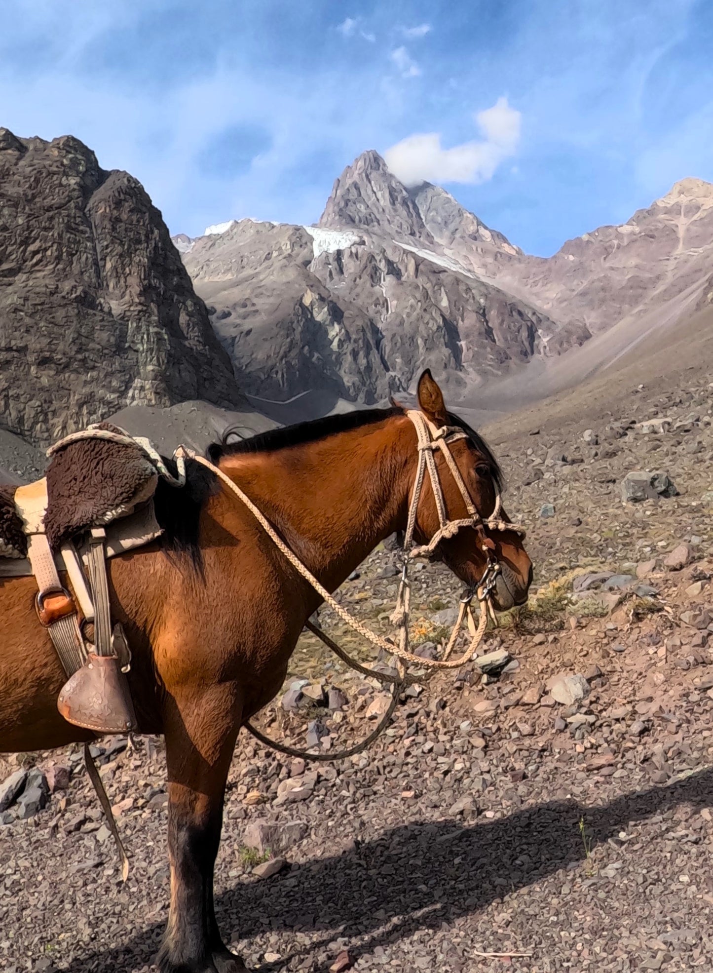 Cabalgata FULL DAY GLACIAR MESON ALTO