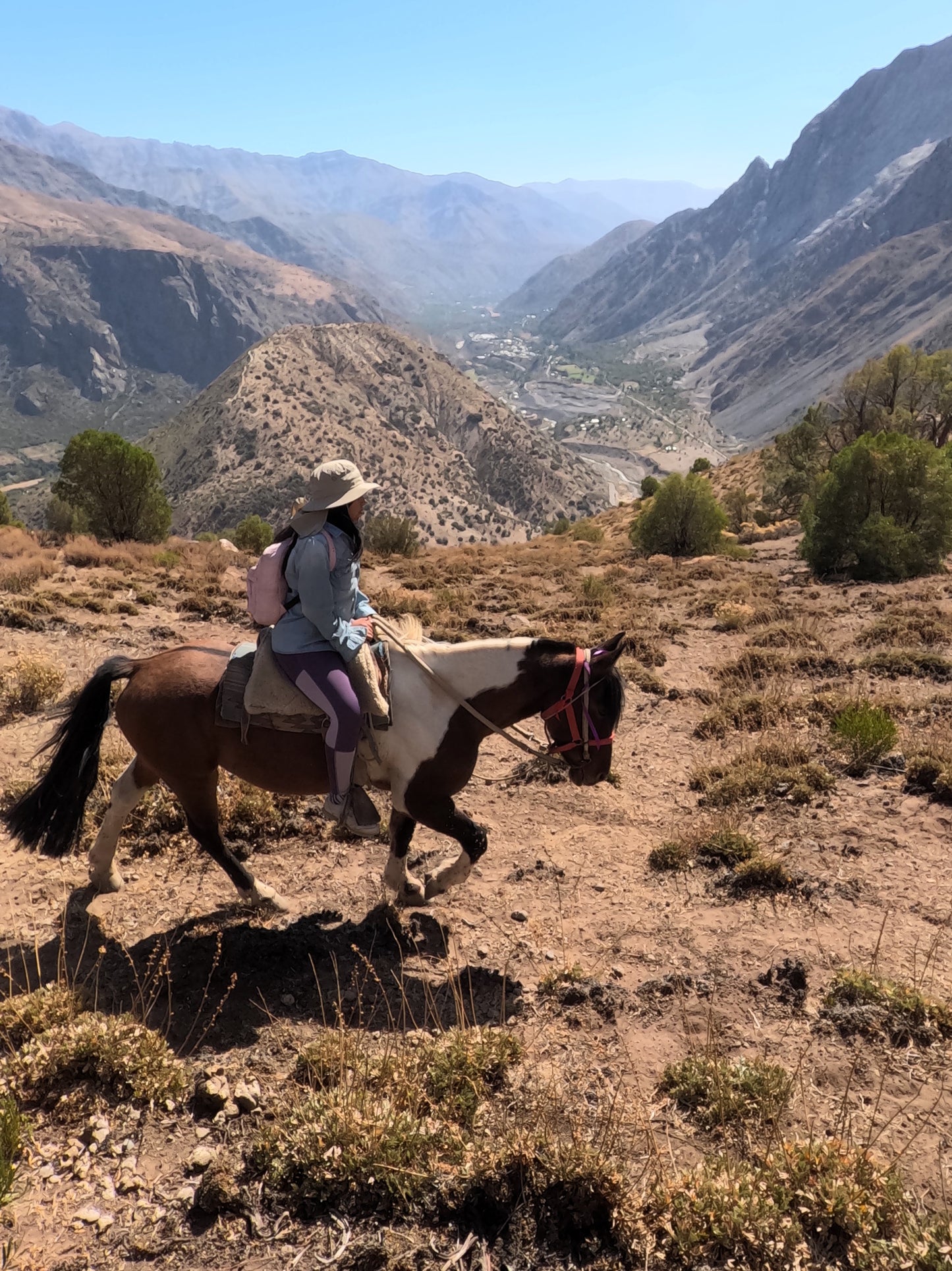 Cabalgata Mirador Cordillera 3 horas