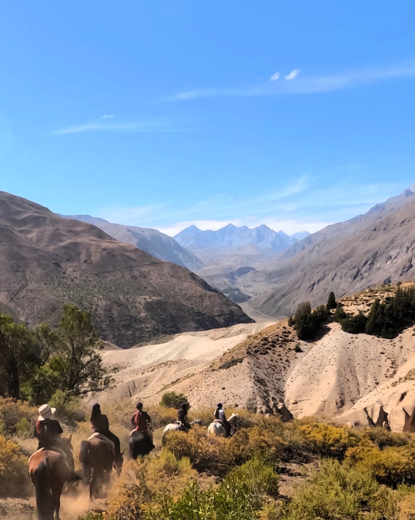 Cabalgata Mirador Cordillera 3 horas