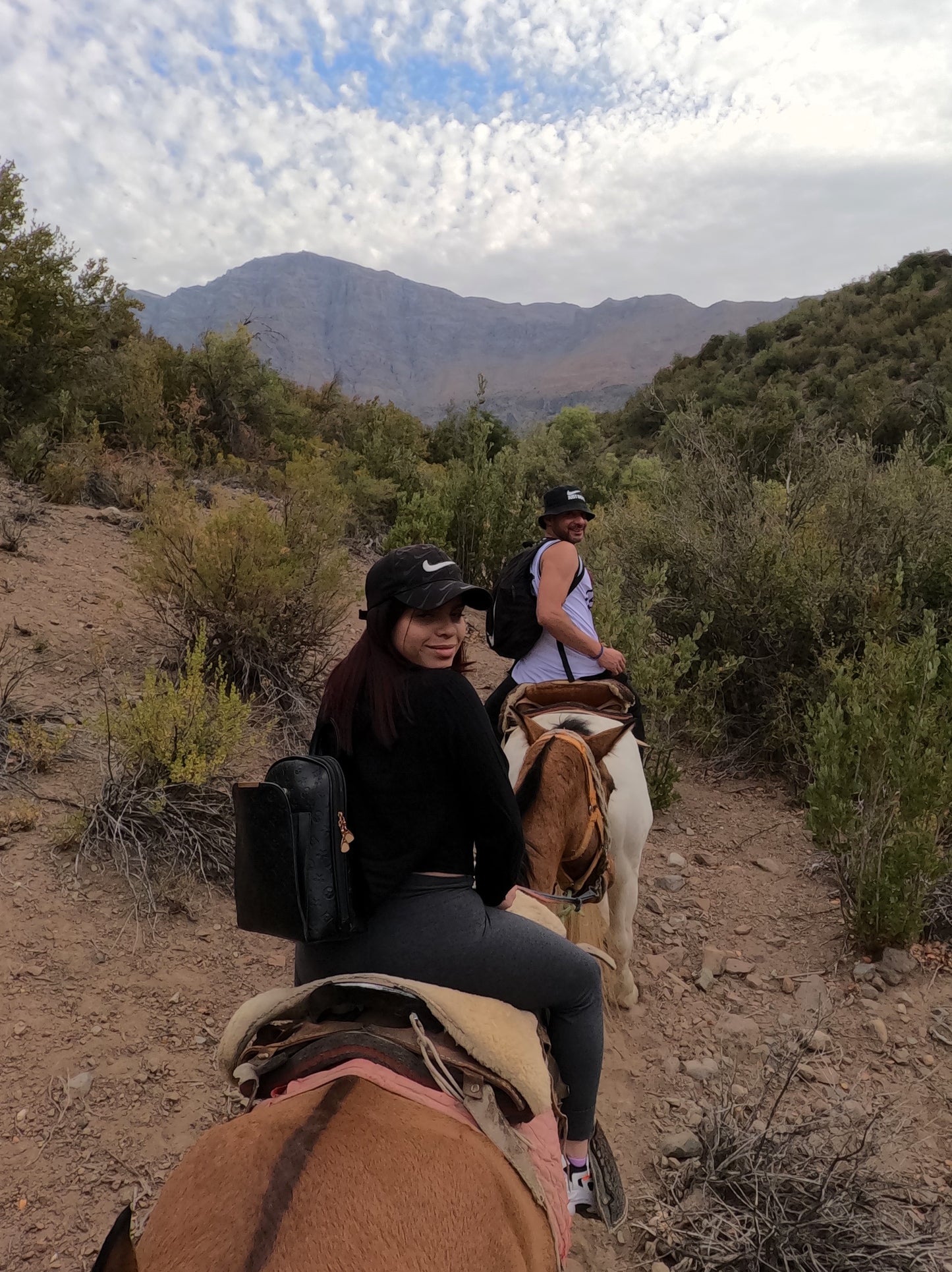 Elevate your Experience, Live the Height and the Grandeur: 4 Hour Horseback Ride to Mirador Cordillera