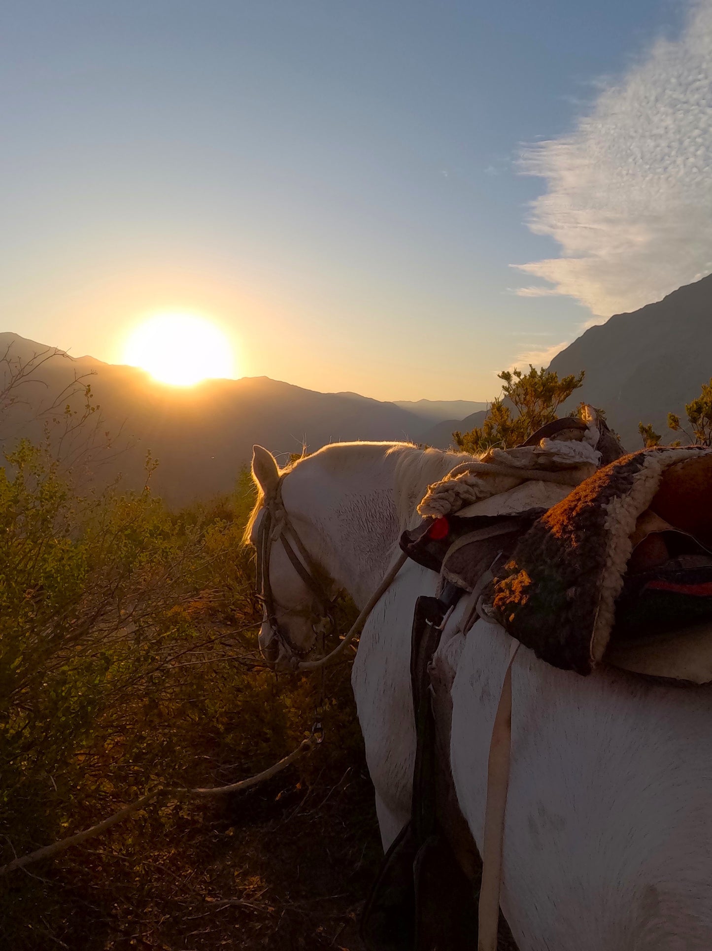 Cabalgata Mirador Cordillera 3 horas