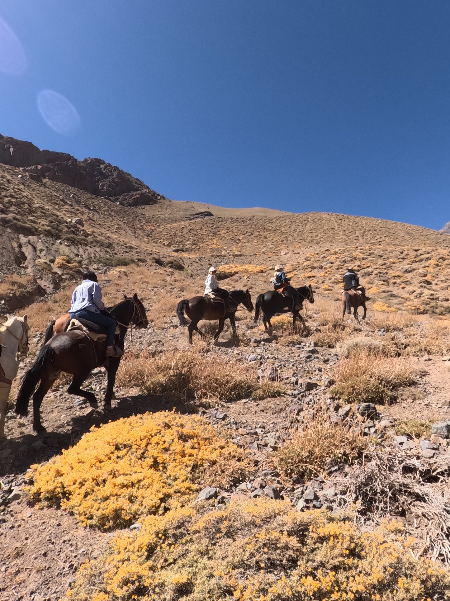 Cabalgata FULL DAY GLACIAR MESON ALTO