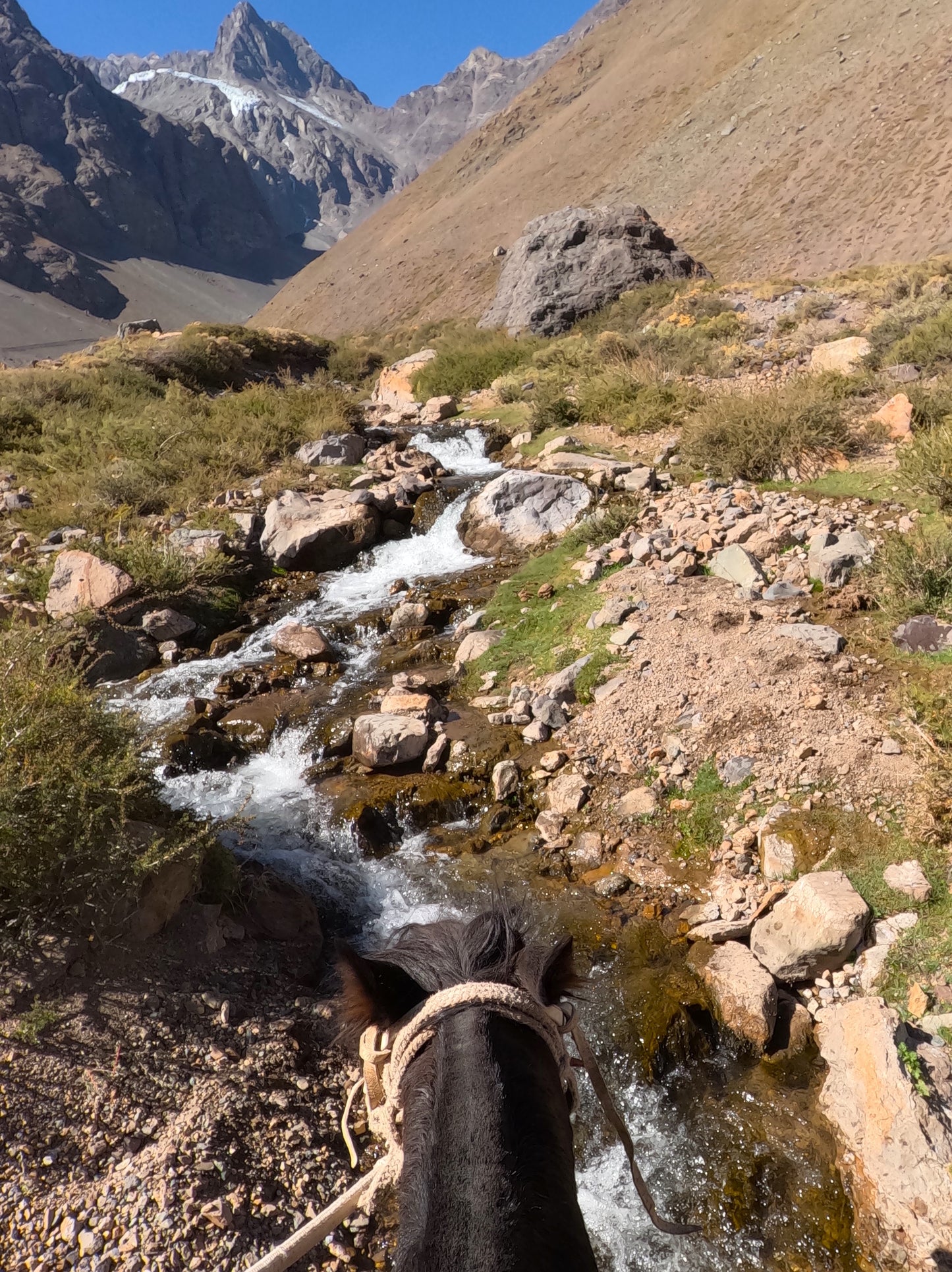 Cabalgata FULL DAY GLACIAR MESON ALTO