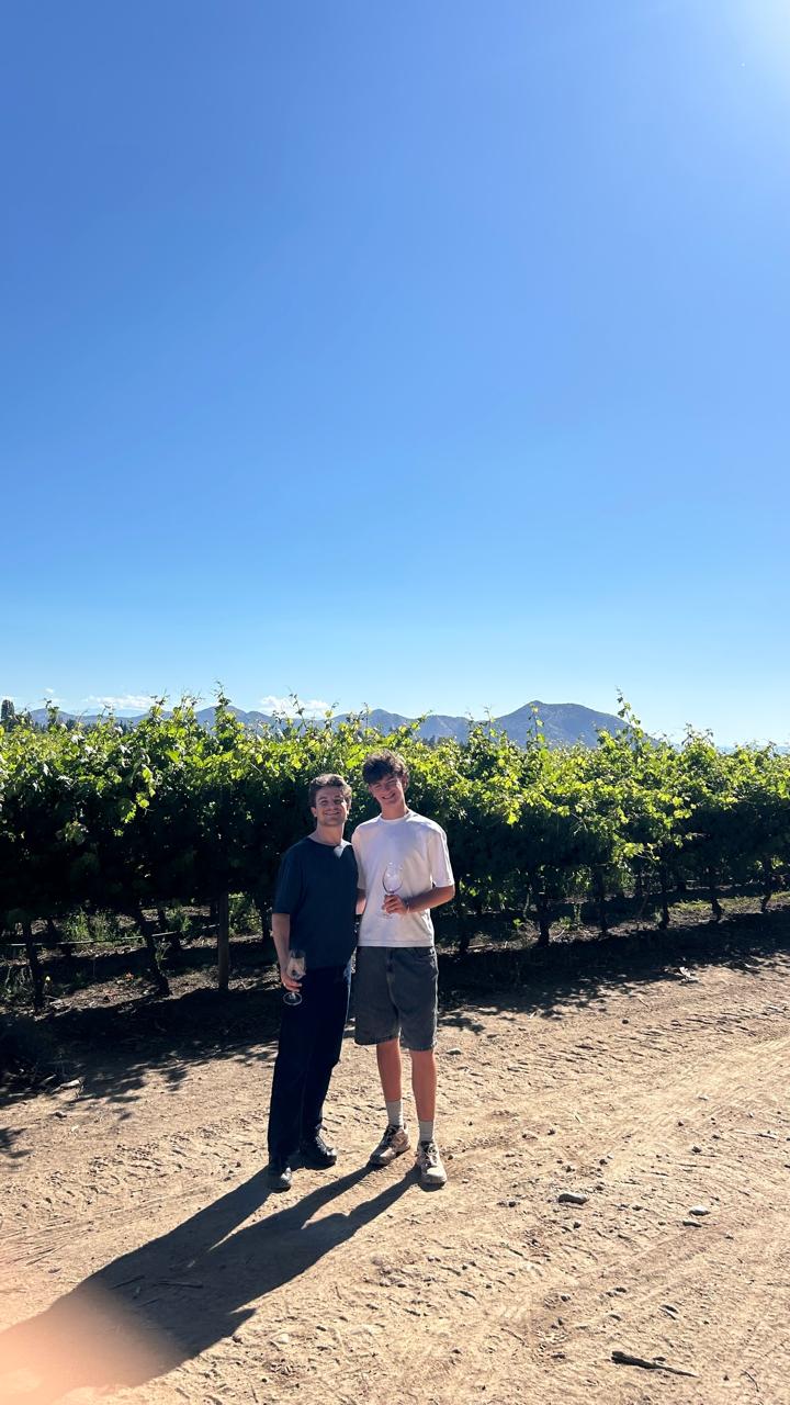 Cabalgata en Cajón del Maipo + Premium Wine tasting Viña Concha y toro 🐎🍷