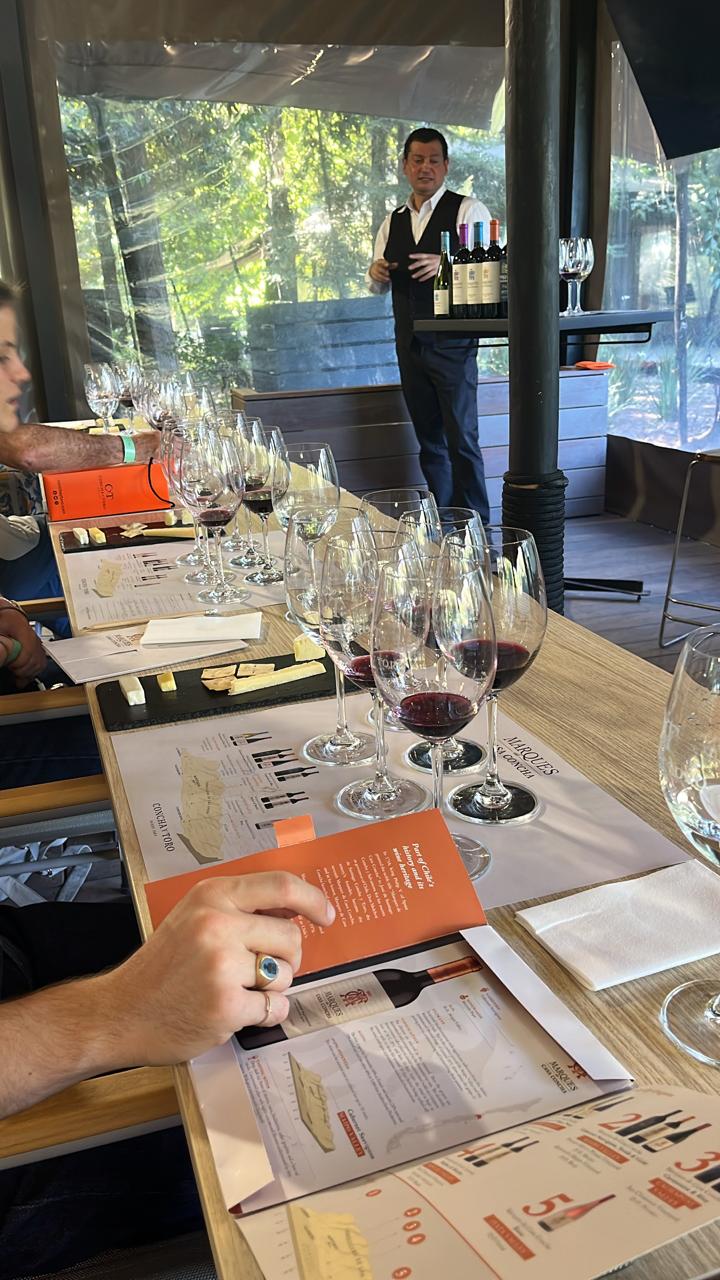 Cabalgata en Cajón del Maipo + Premium Wine tasting Viña Concha y toro 🐎🍷