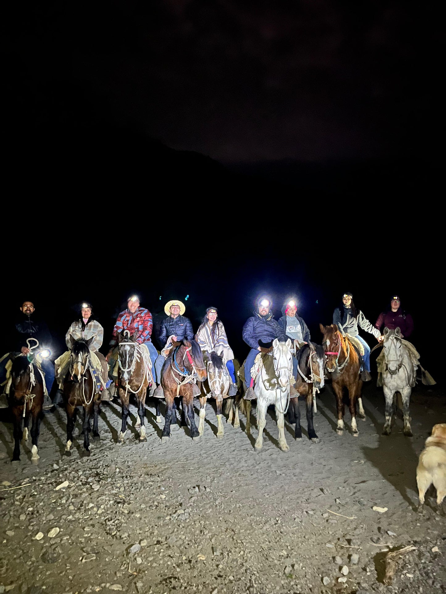 Experience the Magical Night: Lunar or Night Horseback Riding Under the Stars