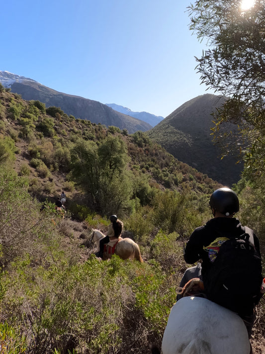 Eleve sua experiência, viva a altura e a grandeza: passeio a cavalo de 4 horas até o Mirador Cordillera