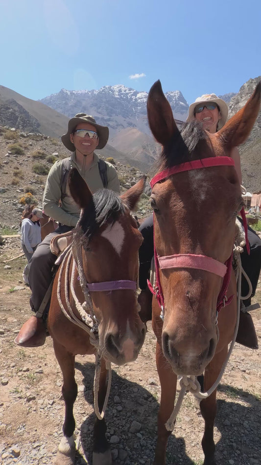 CABALGATA FULL DAY LAGUNA ENCAÑADO 🐎🏔💙